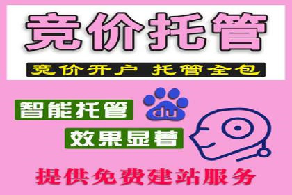 百度竞价投放技巧：行业领先企业的成功策略案例